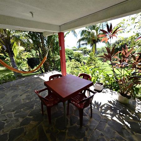 Windy View Guest House Archibolds Extérieur photo