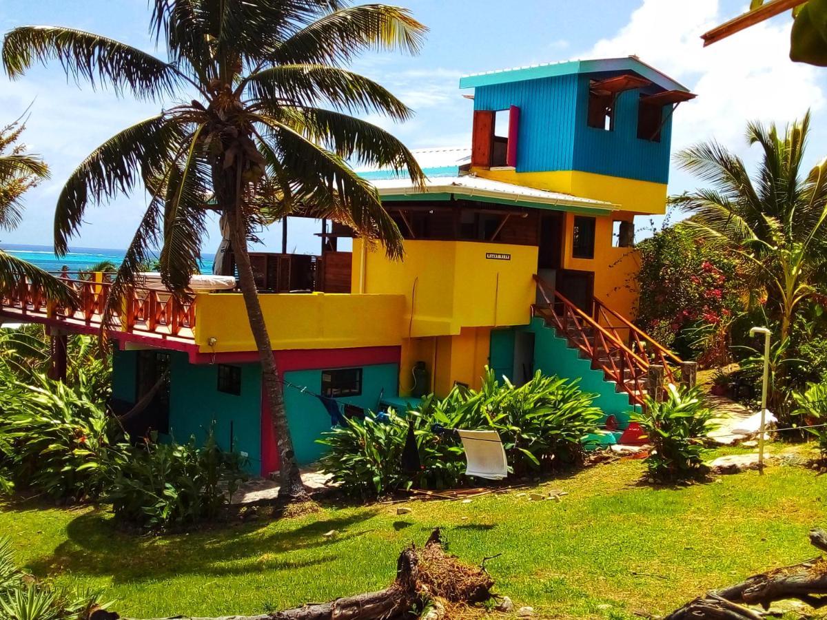Windy View Guest House Archibolds Extérieur photo