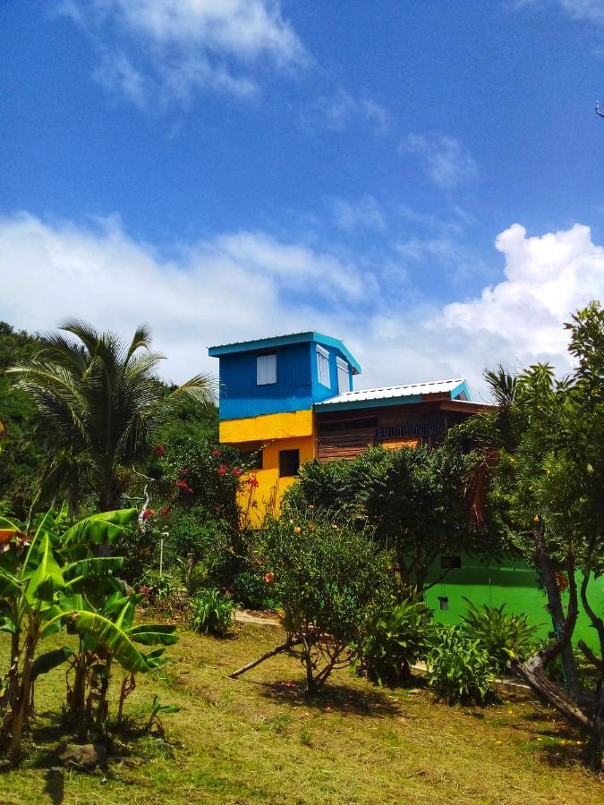 Windy View Guest House Archibolds Extérieur photo