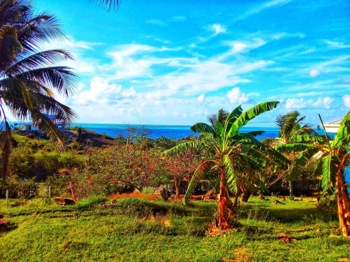 Windy View Guest House Archibolds Extérieur photo