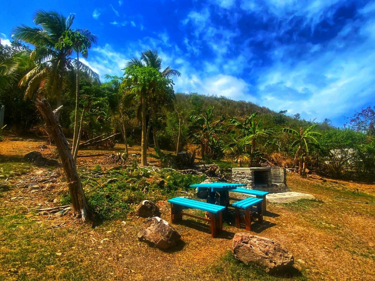Windy View Guest House Archibolds Extérieur photo