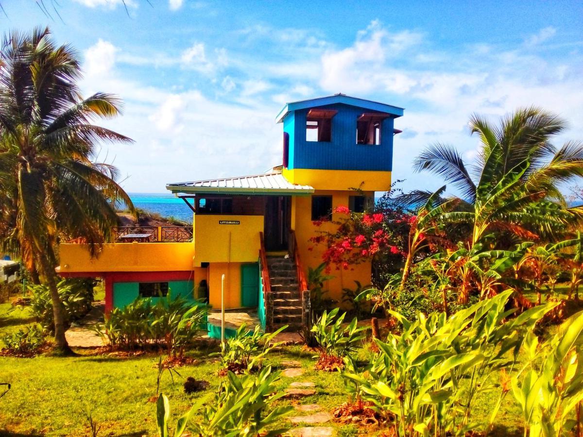 Windy View Guest House Archibolds Extérieur photo