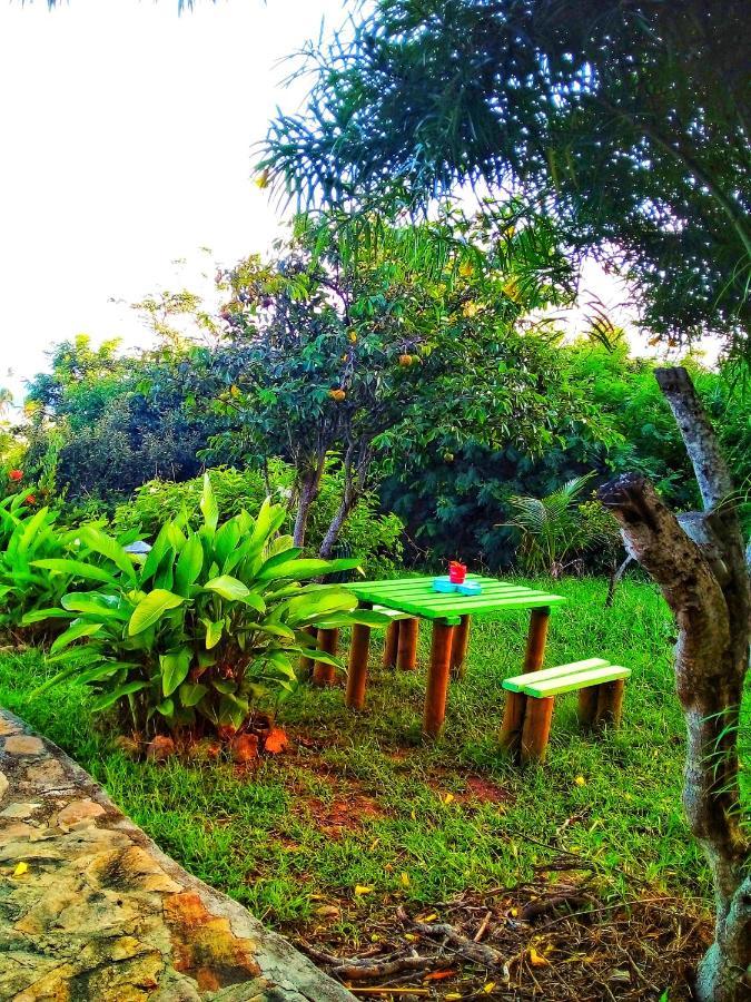 Windy View Guest House Archibolds Extérieur photo
