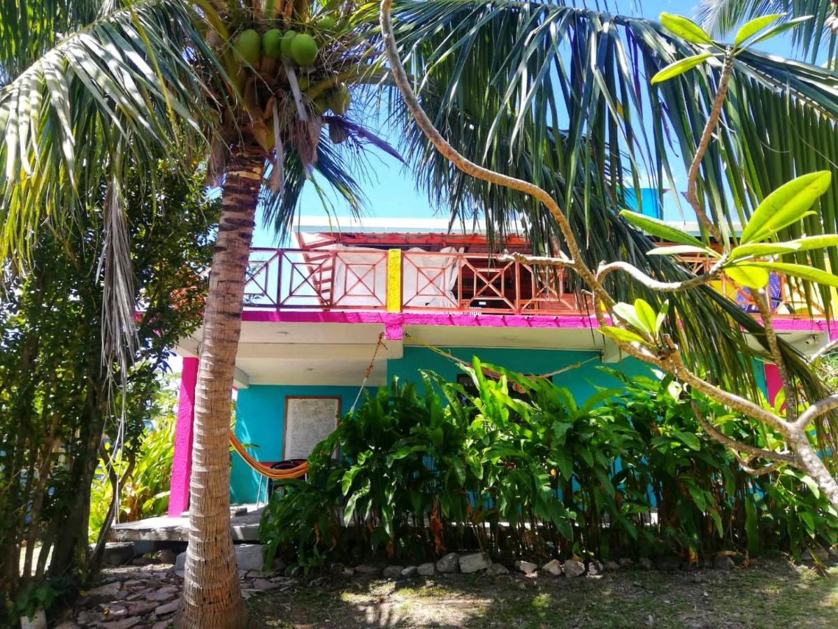 Windy View Guest House Archibolds Extérieur photo