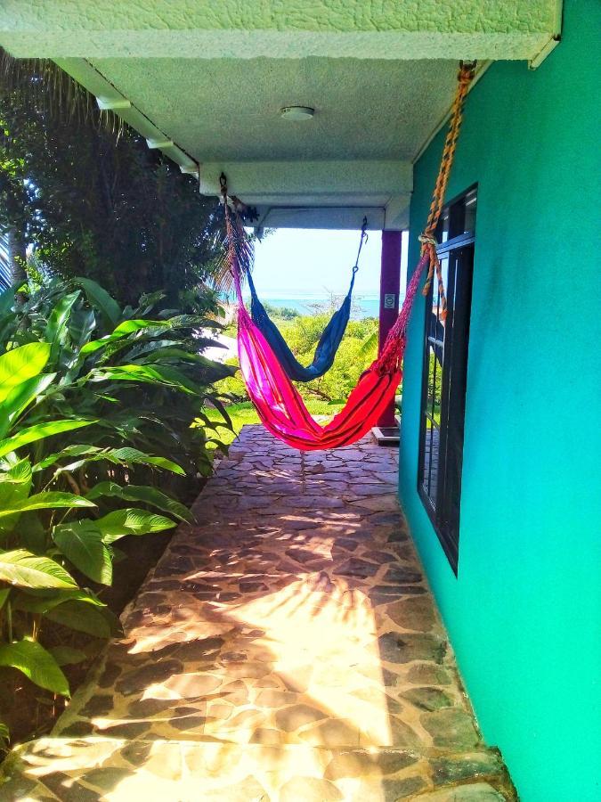 Windy View Guest House Archibolds Extérieur photo