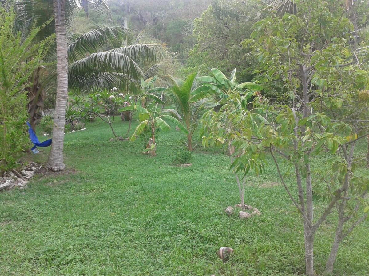 Windy View Guest House Archibolds Extérieur photo