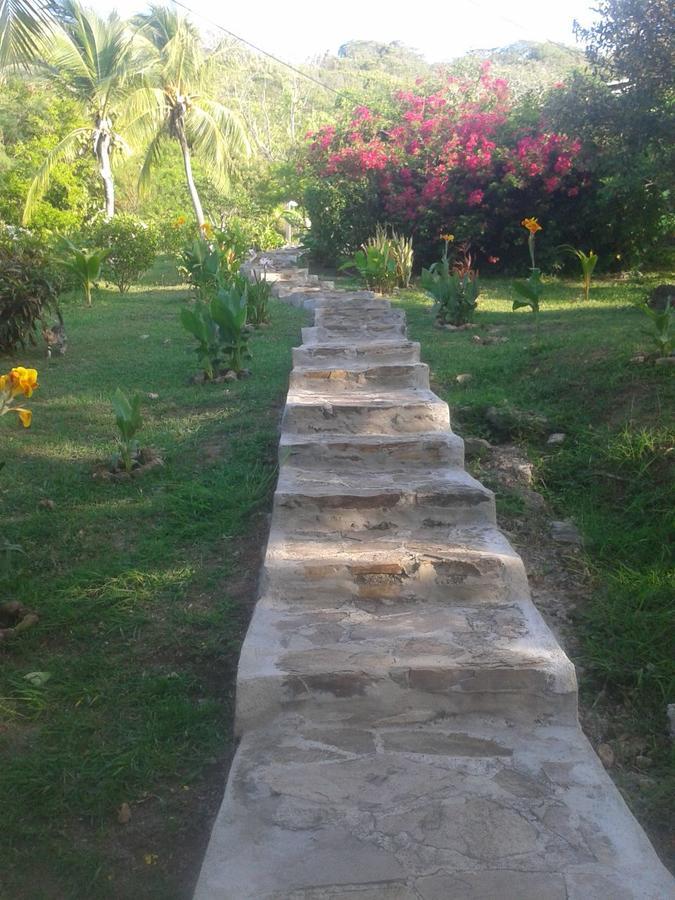 Windy View Guest House Archibolds Extérieur photo