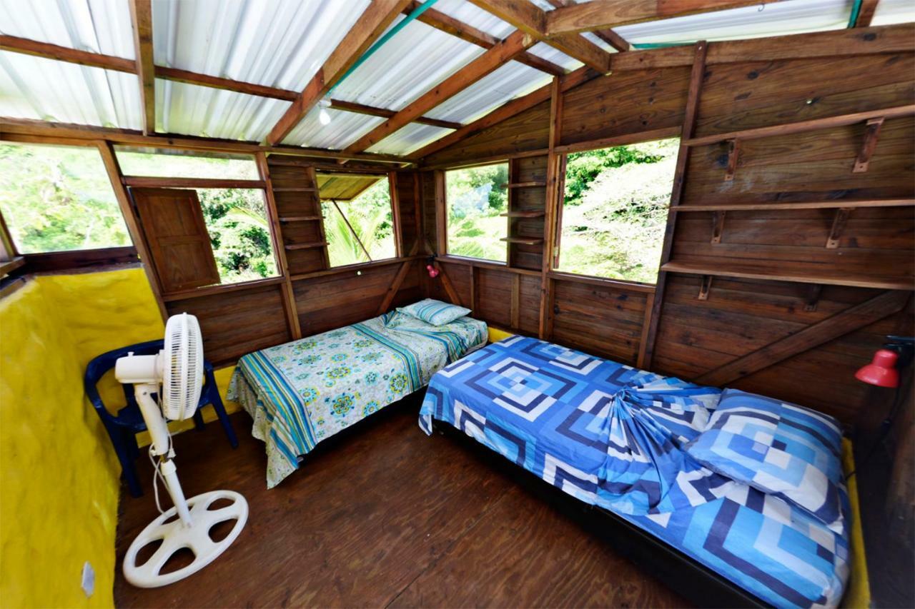 Windy View Guest House Archibolds Extérieur photo