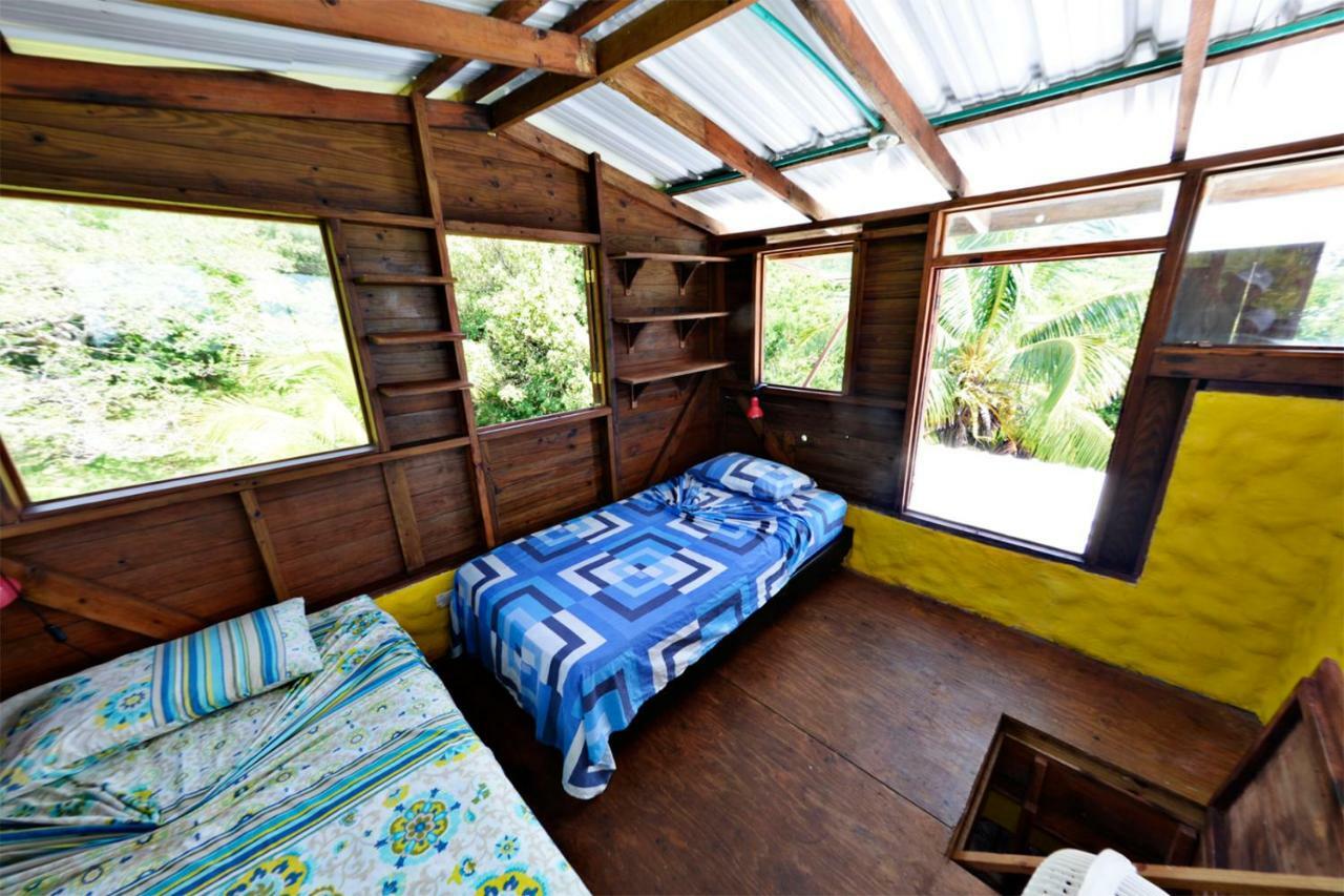 Windy View Guest House Archibolds Extérieur photo